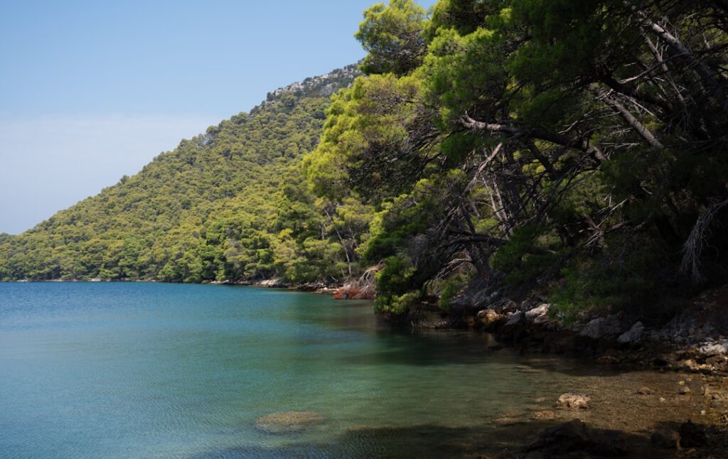 A large body of water surrounded by trees